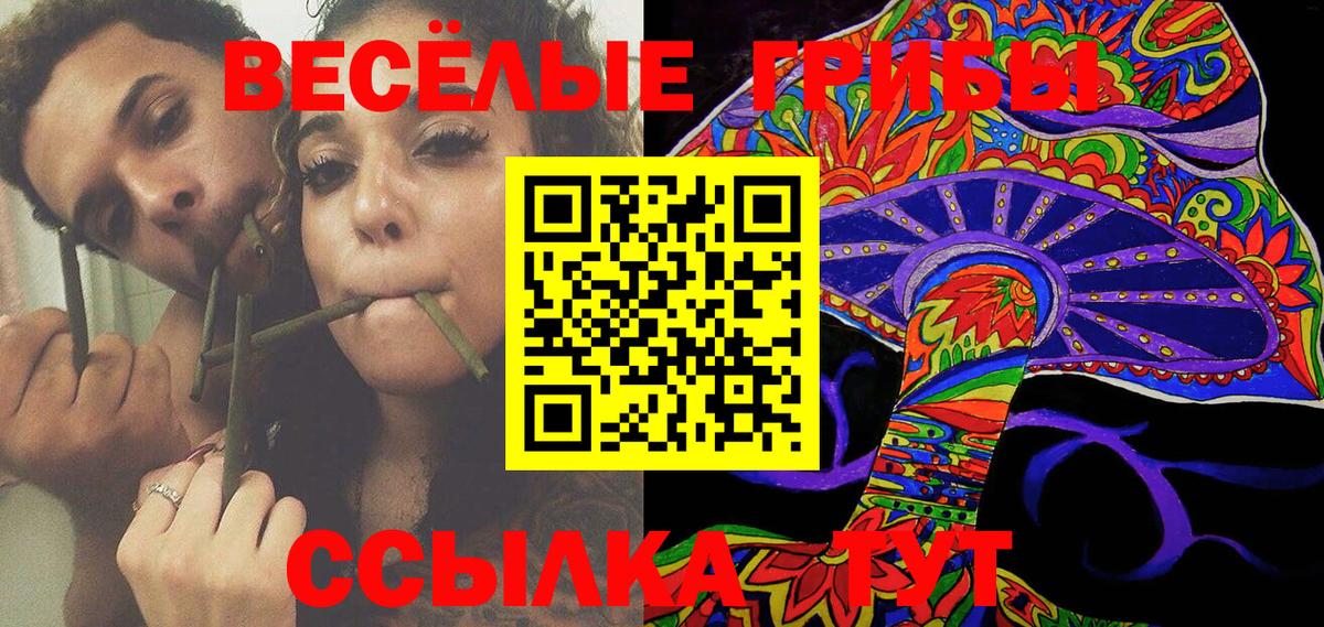 Галлюциногенные грибы GOLDEN TEACHER Белореченск